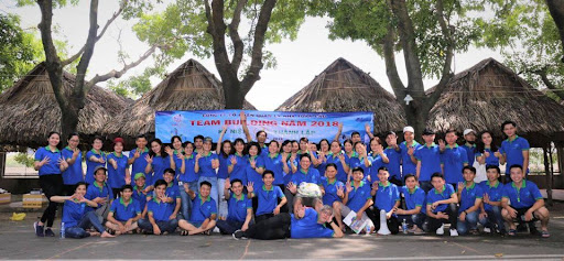 lĩnh vực hoạt động